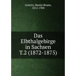   in Sachsen. T.2 (1872 1875) Hanns Bruno, 1814 1900 Geinitz Books