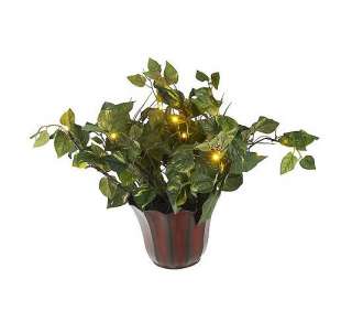 Bethlehem Lights Battery Operated 20 House Plant in Planter with 
