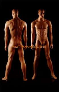 AMT Mannequin Standing Male Model Matt