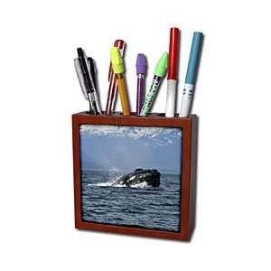   Alaska   Tile Pen Holders 5 inch tile pen holder