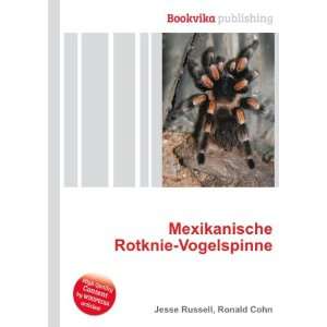  Mexikanische Rotknie Vogelspinne Ronald Cohn Jesse 