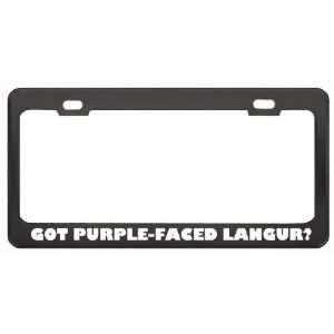 Got Purple Faced Langur? Animals Pets Black Metal License Plate Frame 