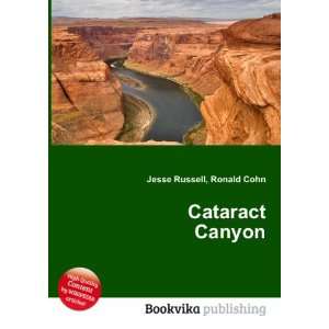  Cataract Canyon Ronald Cohn Jesse Russell Books