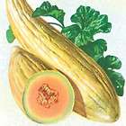 Annual flower seeds, Fruit and Vegetable Seeds items in grocoseeds 