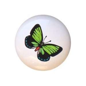  Florida Atala Butterfly Drawer Pull Knob