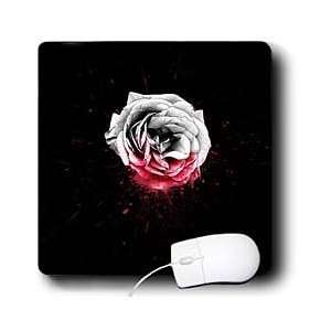  Houk Digital Design   Blood Rose Flower full of pain 
