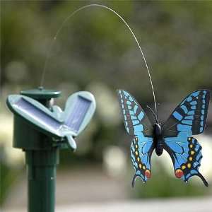   Solar powered butterfly model with movable parts Toys & Games