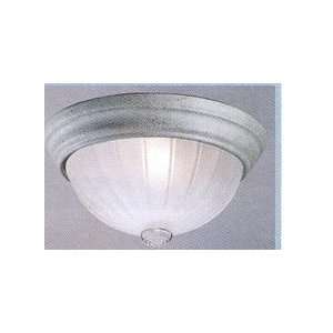  Volume Ceiling Light V7820 85