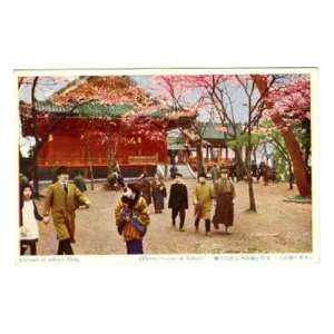   Cherry Blossoms at Idibiya Park Postcard Tokyo Japan 