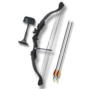 25 Lbs. Nice Black Hunter Archery Compound Bow  Sports 