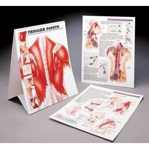  Trigger Points Chart Understanding Myofascial Pain and 