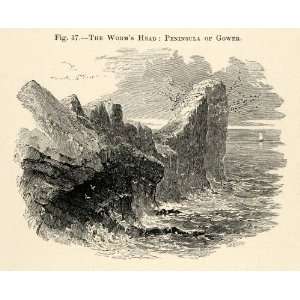  1882 Wood Engraving Worms Head Peninsula Gower Gwyr Wales 