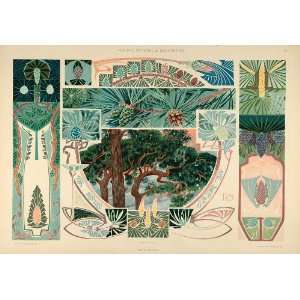  1904 Lithograph Art Nouveau Fir Pine Tree Design Panitz 