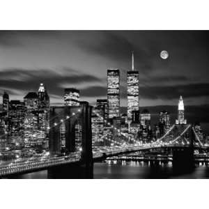  LAMINATED New York Twin Tower at Night 23.5 x 16.5Inches 