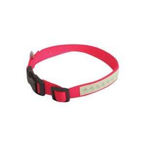  Nite Lite Quick Snap Collar   Small   3/4 in.   Hot Pink 