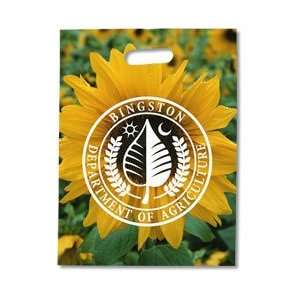  Biodegradable Grab Bag   15 x 11   Full Color   250 with 