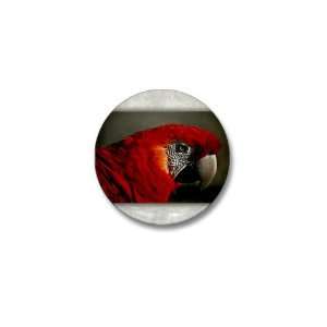  Mini Button Scarlet Macaw   Bird 