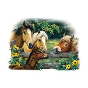  T shirts Animals Wildlife Horses Friendly Neighbors Xl 