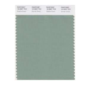   SMART 16 5907X Color Swatch Card, Granite Green