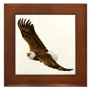  Framed Tile Bald Eagle Flying 