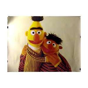    Sesame Street   Bert and Ernie   23.8x33.5 inches