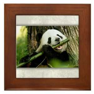  Framed Tile Panda Bear Eating 
