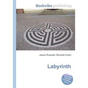  Labyrinth Ronald Cohn Jesse Russell Books