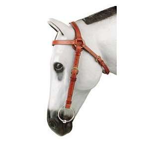  Toowoomba 3/4 Edge Sewn Barcoo Bridle