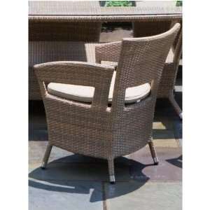 Loggia Wicker Dining Arm Chair With Cushion Patio, Lawn 