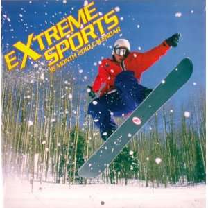  2010 Extreme Sports Wall Calendar