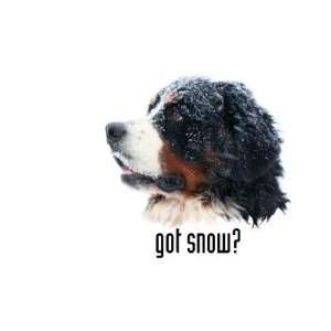  got snow? Bernese Mountain Dog Mug