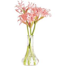 Banquet Table Bud Vase   Case of 12   Flower   Clear 845033036462 