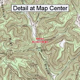  USGS Topographic Quadrangle Map   Billows, Kentucky 