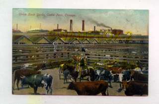 Union Stock Yards Cattle Pens Chicago ILLINOIS *OLD*  