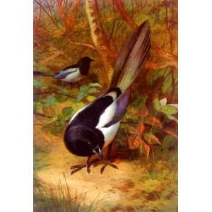 FRAMED oil paintings   Archibald Thorburn   24 x 36 inches   Magpies