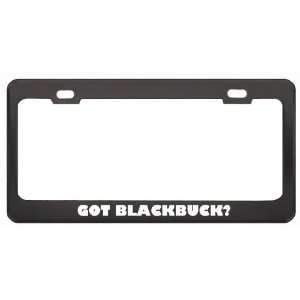 Got Blackbuck? Animals Pets Black Metal License Plate Frame Holder 
