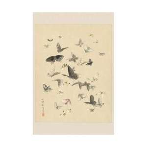  Butterflies 20x30 poster