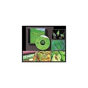 The Leaf DVD Toys & Games