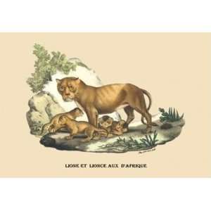  Exclusive By Buyenlarge Lion et Lionne dAfrique 28x42 