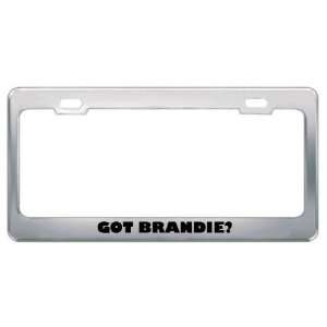  Got Brandie? Girl Name Metal License Plate Frame Holder 