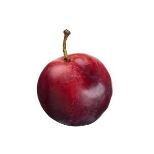  3 Weighted Plum Red (Pack of 12)
