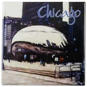  City of Chicago Millennium Park Magnet