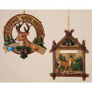  White Tair Deer Sign Christmas Ornament Set of 2 Sports 