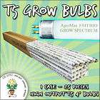 25 4 T5 GROW BULBS CASE FLUORESCENT F54T5HO LAMPS 6500