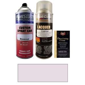  12.5 Oz. Mauve Poly Spray Can Paint Kit for 1967 Plymouth 