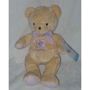   Bunches of Love Purple Gingham Sweet Baby Tan Teddy Bear Toys & Games