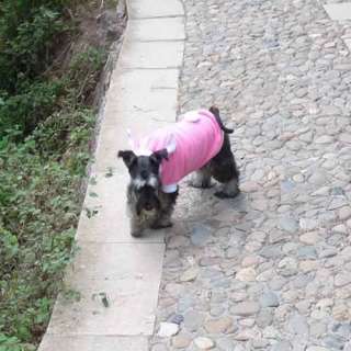 Rabbit Style Plush Dog Pet Clothes Apparel Custome Hoodie Coat Jacket