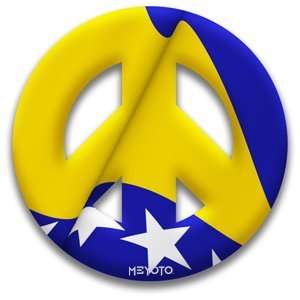  MEYOTO 5.5 Bosnia and Herzegovina Cling Decal