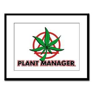    Large Framed Print Marijuana Plant Manager 
