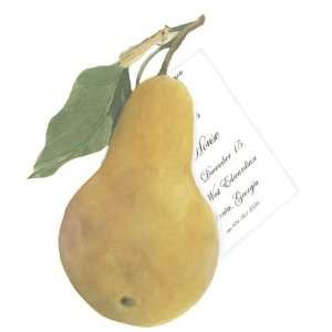  Stevie Streck Designs AD738 Pear, Ribbon Tag without 